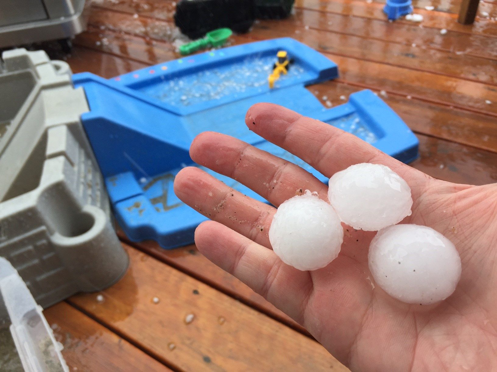 Courtesy: Dr. John Petrisko, Billings West End Hail